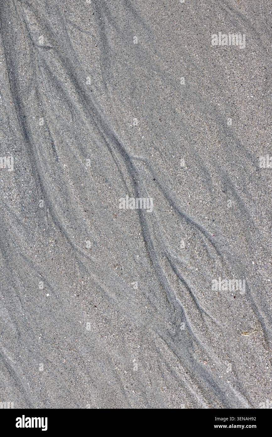 Black and gray pattern in the sand on a sandy beach, background Stock Photo
