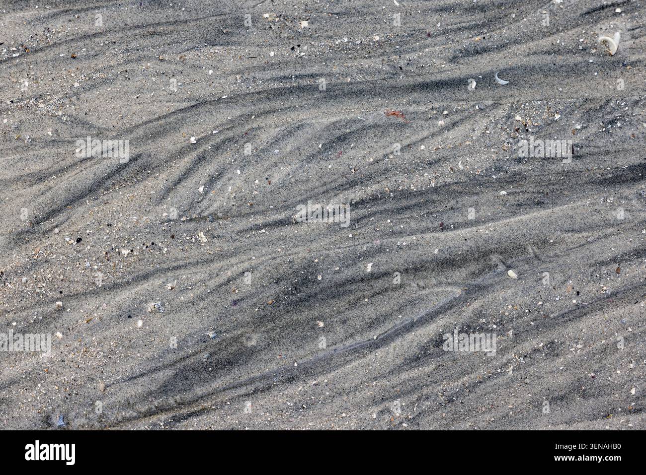 Black and gray pattern in the sand on a sandy beach, background Stock Photo