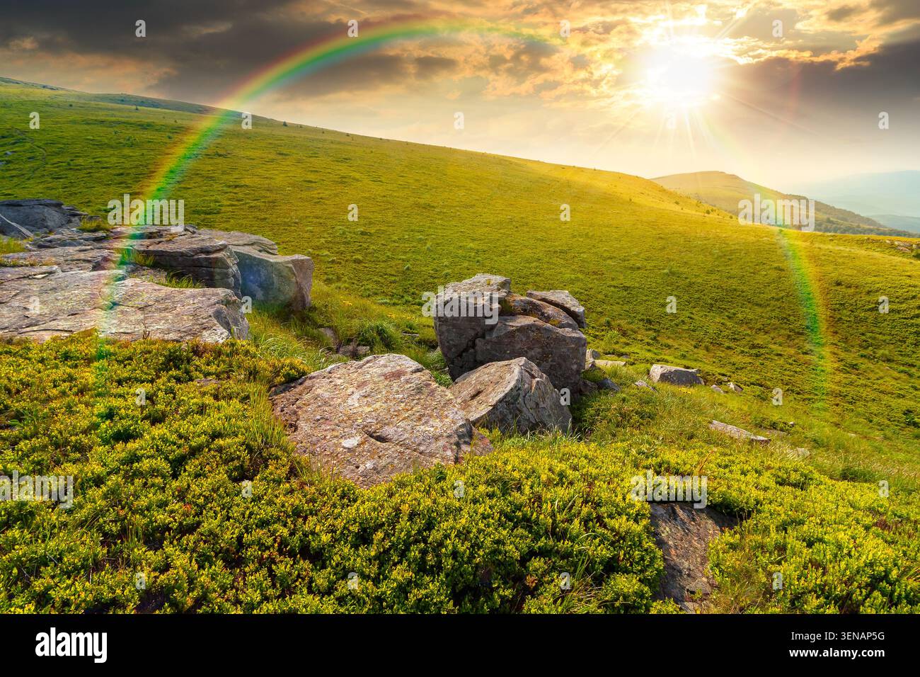 sunset over alpine meadow in summer nature. wild grass and grey rocks in carpathian landscape. mountain scenery of perechyn district, ukraine. weather Stock Photo