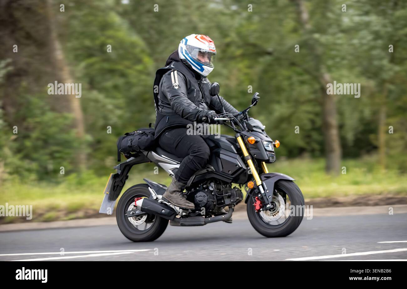 Grom Riding Honda grom hi-res stock photography and images - Alamy