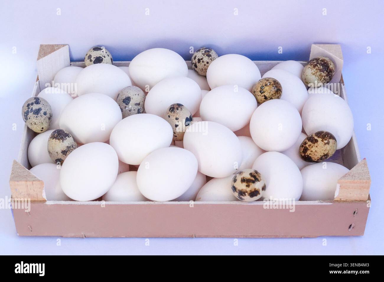 Quail and chicken eggs in a wooden box on a white background. Selective focus. Stock Photo