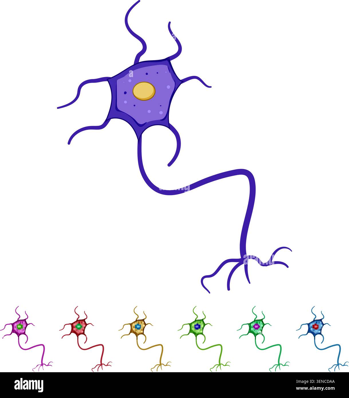synapse neurons cartoon. structure human, anatomy diagram, myelin axon ...