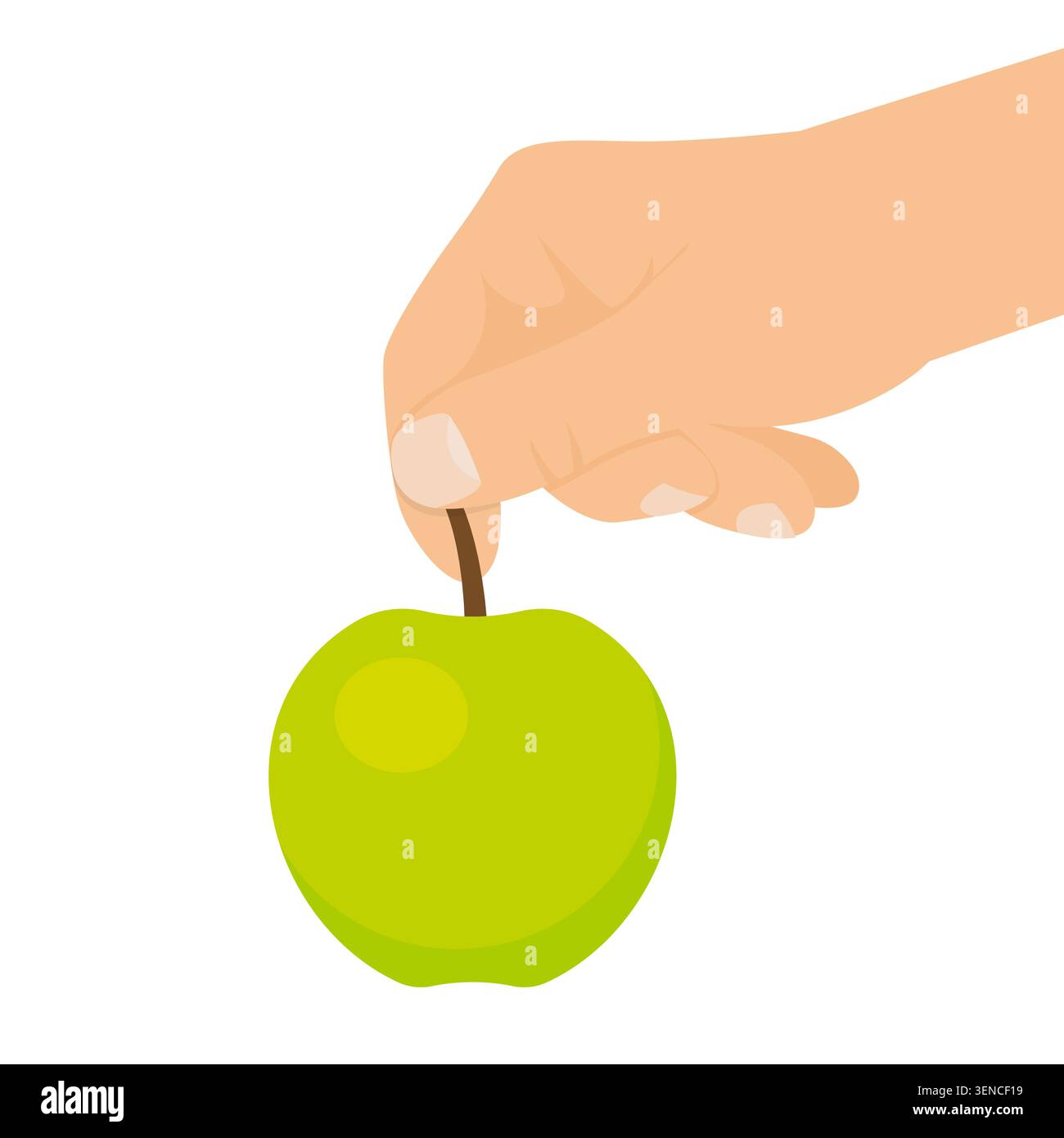 Hand holding fresh green apple by its stem Stock Vector
