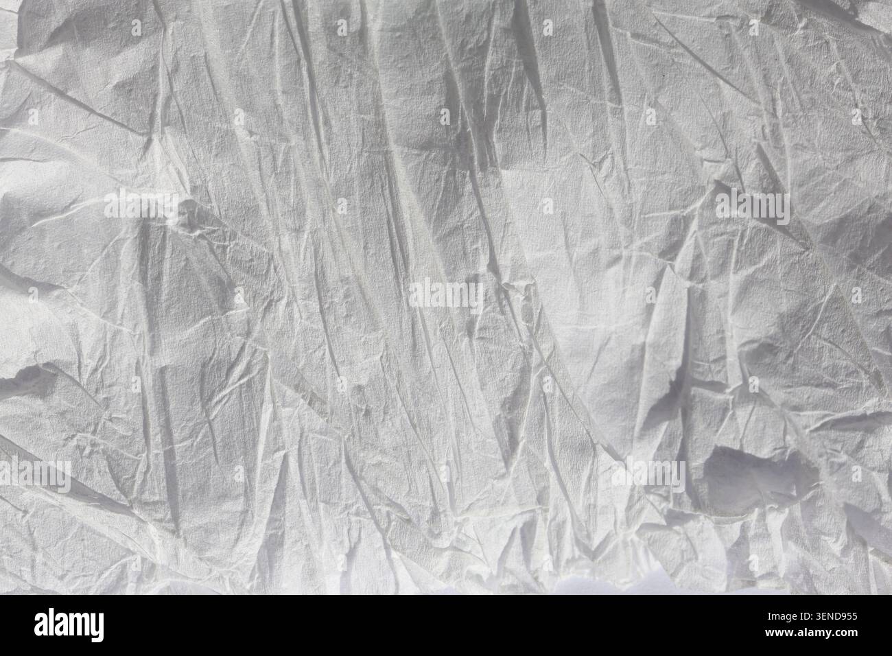 crumpled paper texture.  tissue background. Stock Photo