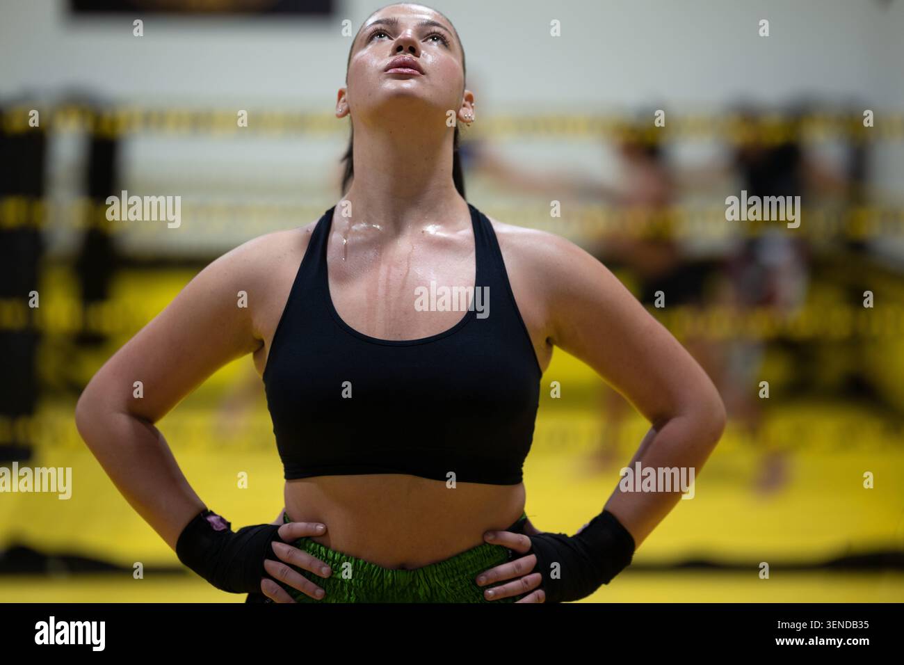 Determined Female Boxer Training in Ring After Intense Workout Looking Up in Focused Moment Stock Photo