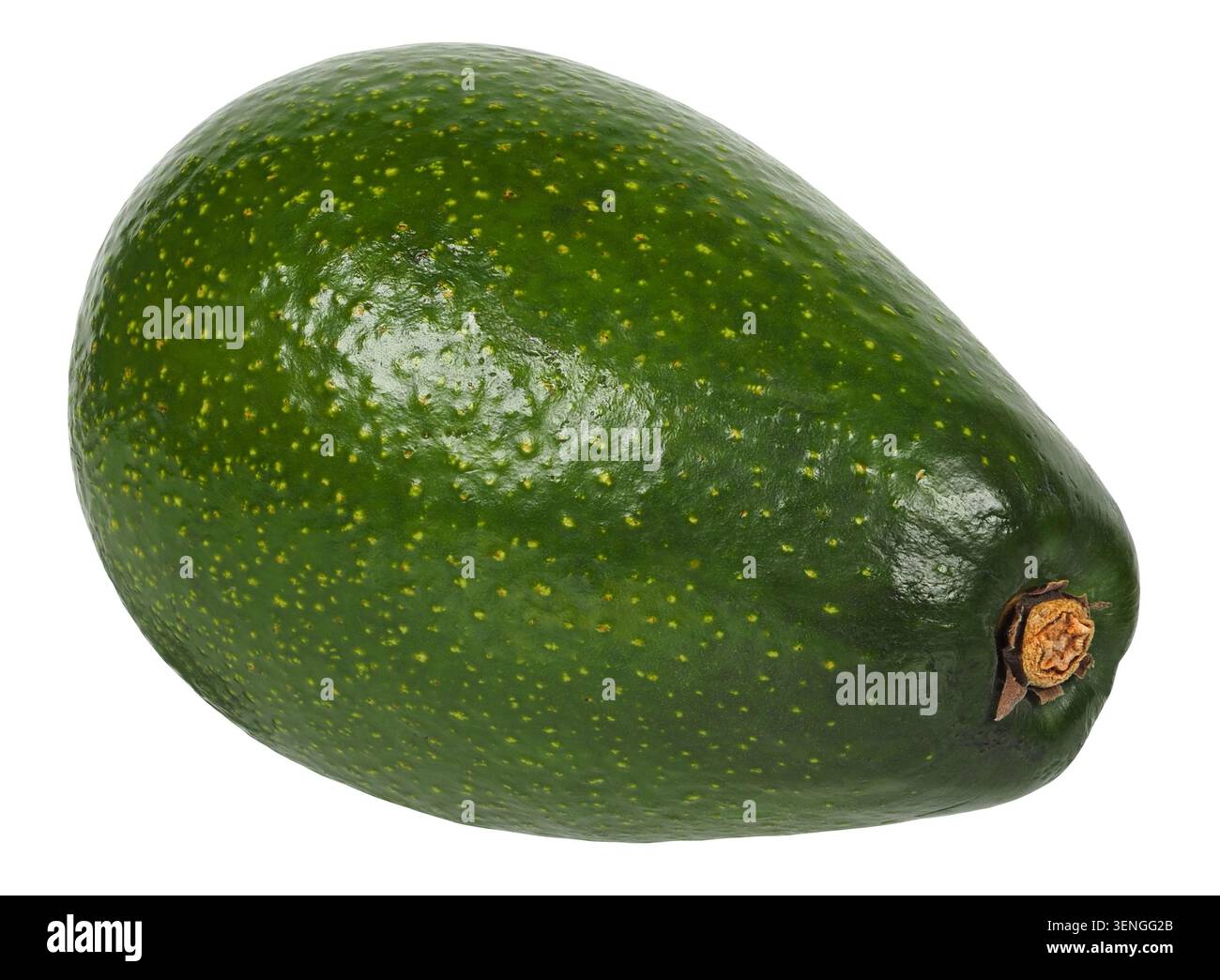 Avocado fruit isolated on white background Stock Photo
