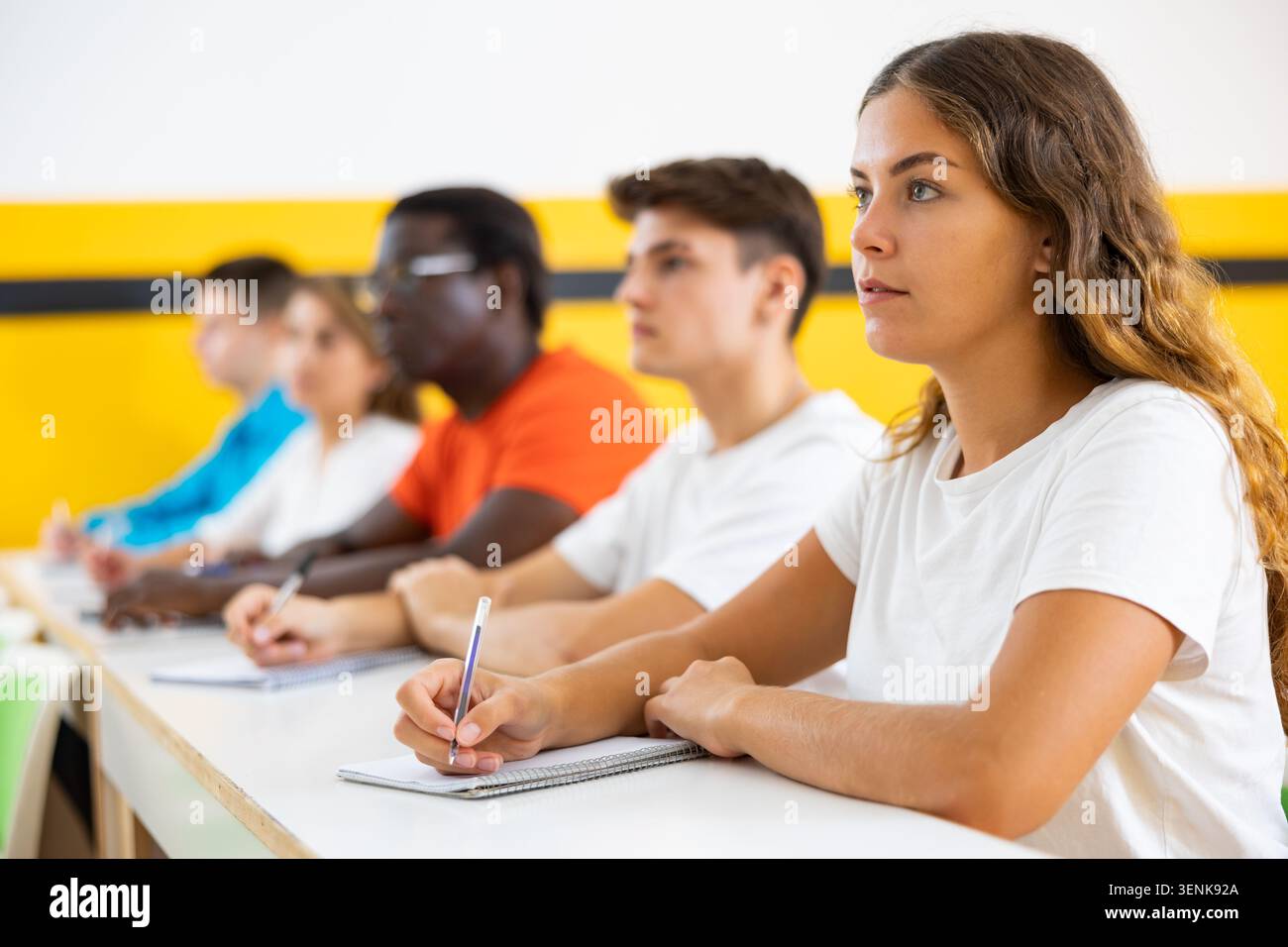 Woman with other students in studying with their colleagues Stock Photo