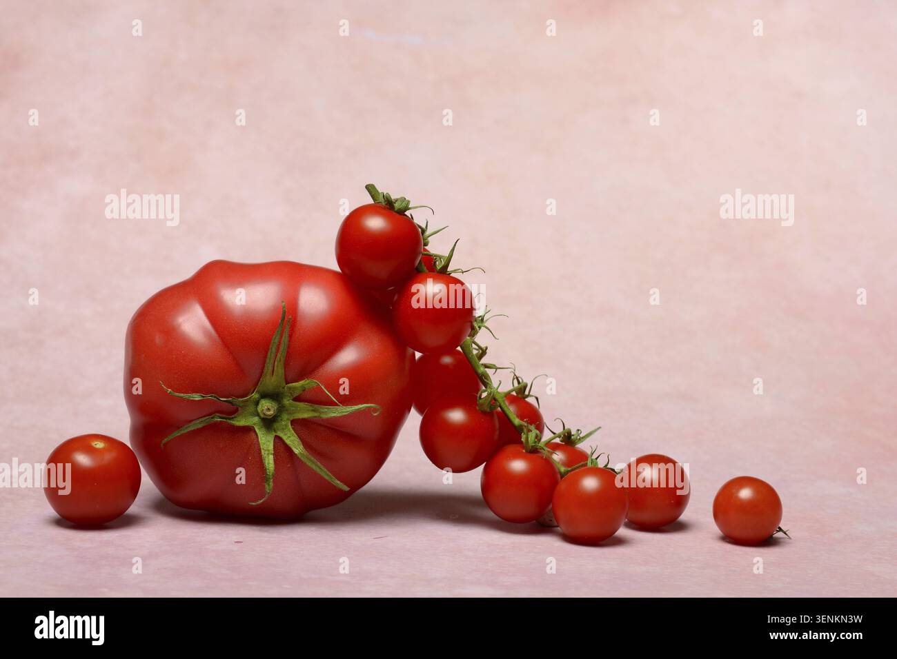 Beef tomato and cherry vine tomatoes with pink background Stock Photo