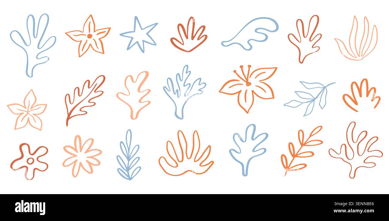 Tropical palm leaves, flowers vector element set Stock Vector