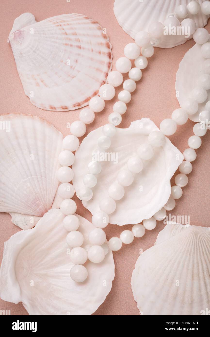 White agate gemstone beads necklace layered on natural sea shells. Stock Photo