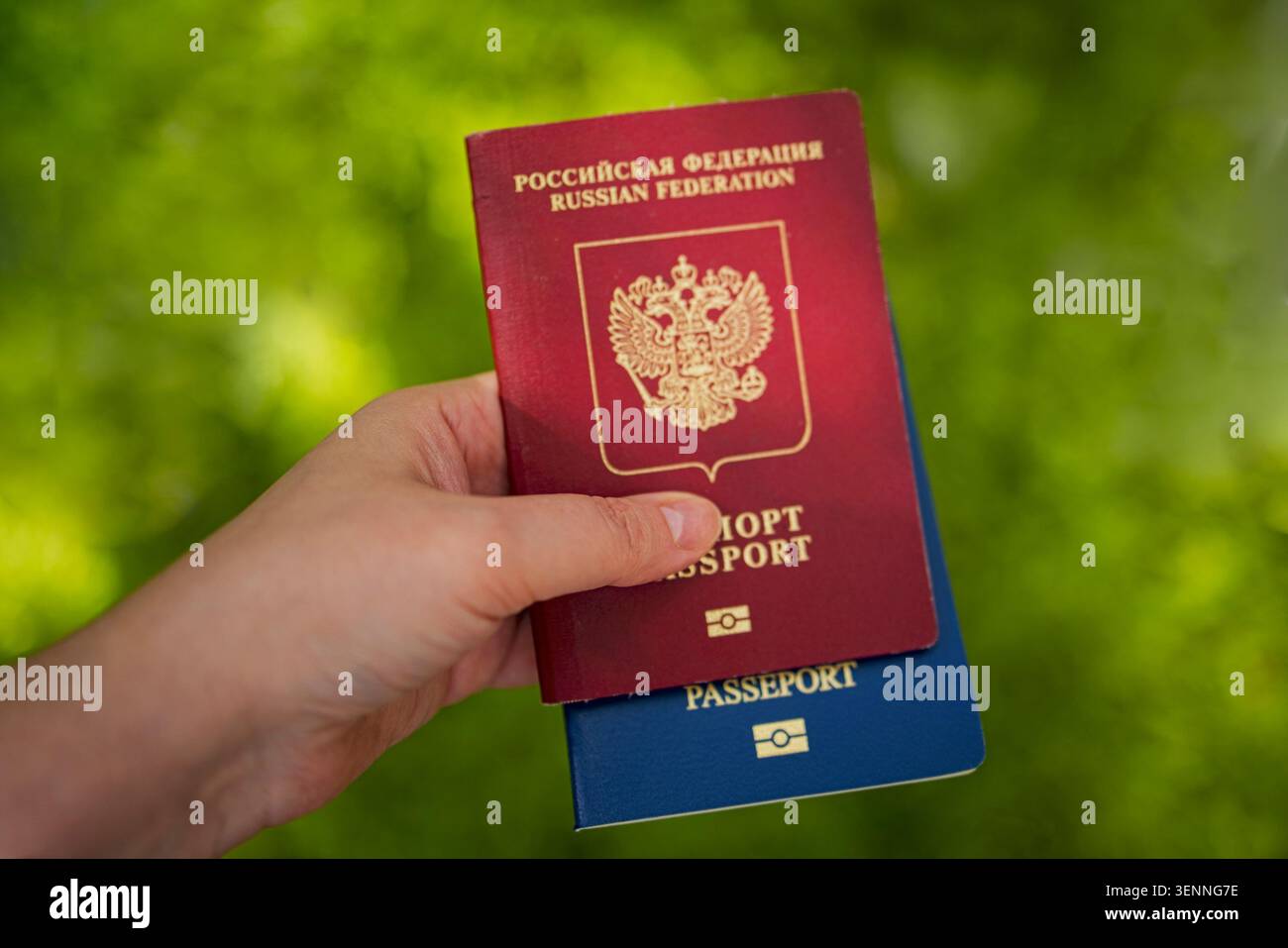 Hand displays two passports, a red Russian Federation passport and a blue passport, against a softly blurred green background Stock Photo