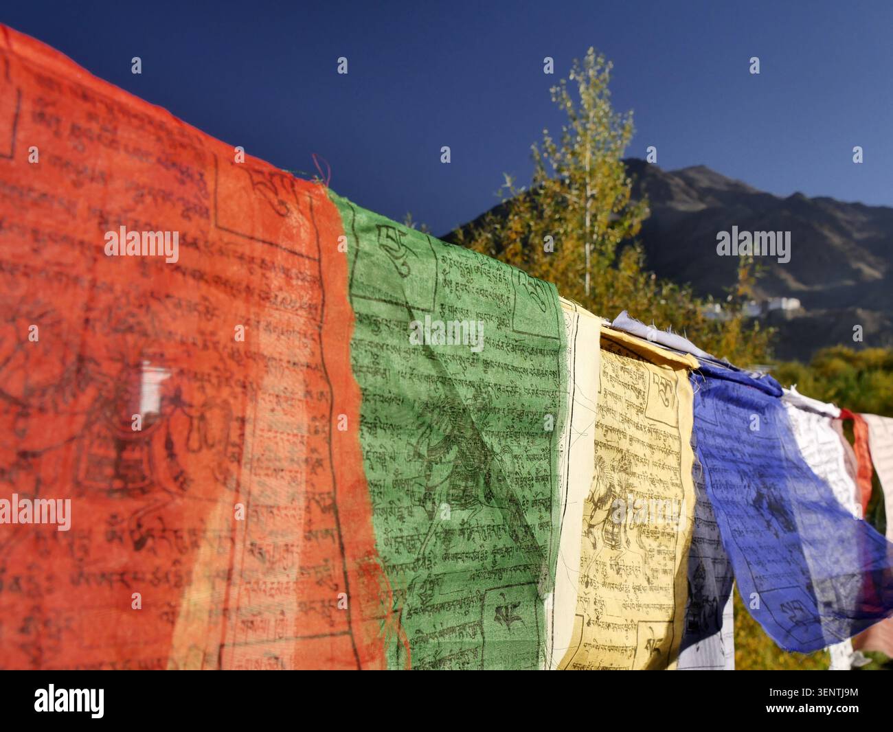 Colorful tibetan prayer flags in autumn in ladakh. Tibetan buddhism and himalayan travel destination background Stock Photo