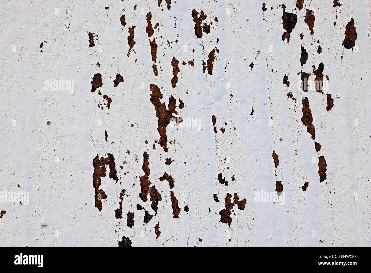 Weathered Rusted Metal Surface with White Peeling Paint Texture Stock Photo