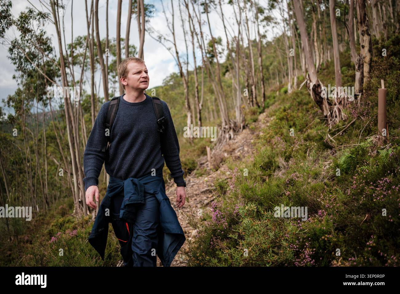 Man with backpack walking uphill on a trail through the woods Stock Photo