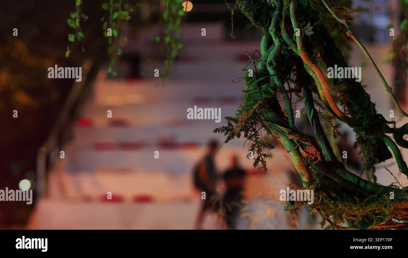 Growing roots and moss creating abstract pattern with blurred background figures Stock Photo