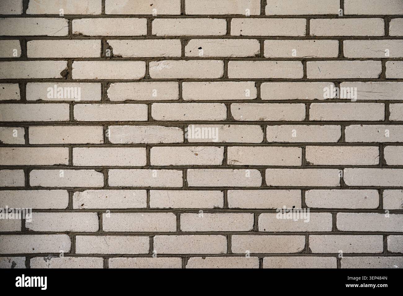 texture of a wall made from white bricks Stock Photo