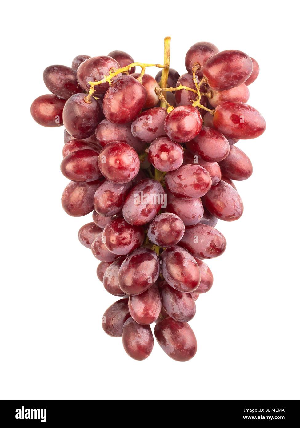 red grape path isolated on white Stock Photo