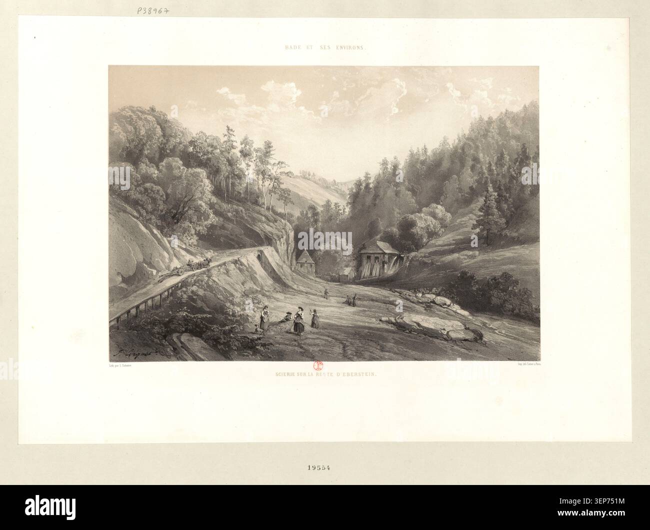 Wooded roadside scene showing hi-res stock photography and images - Alamy