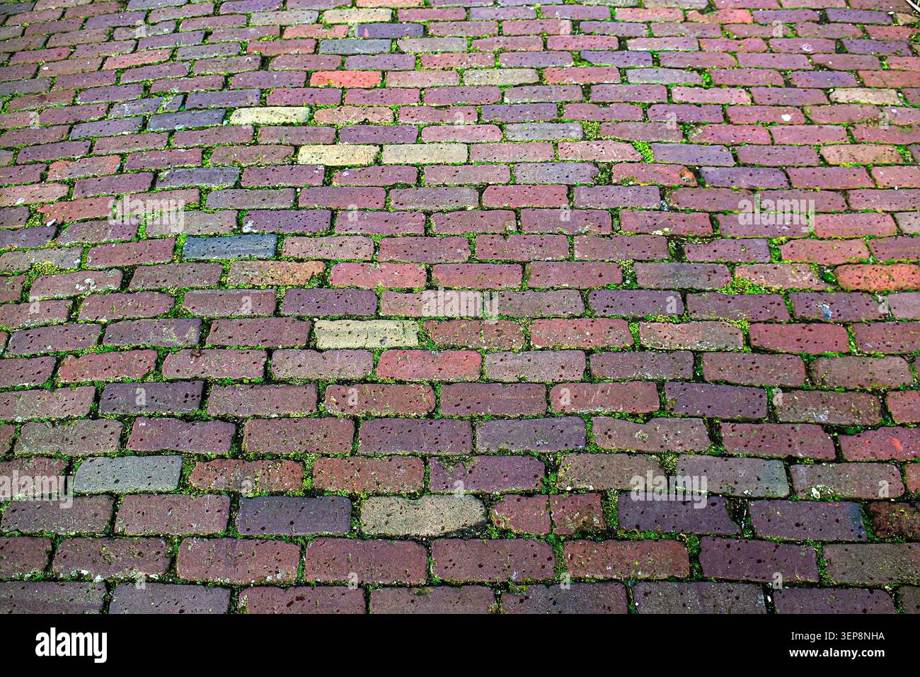 Mossy Vertical Stone Block Pavement Texture Stock Photo