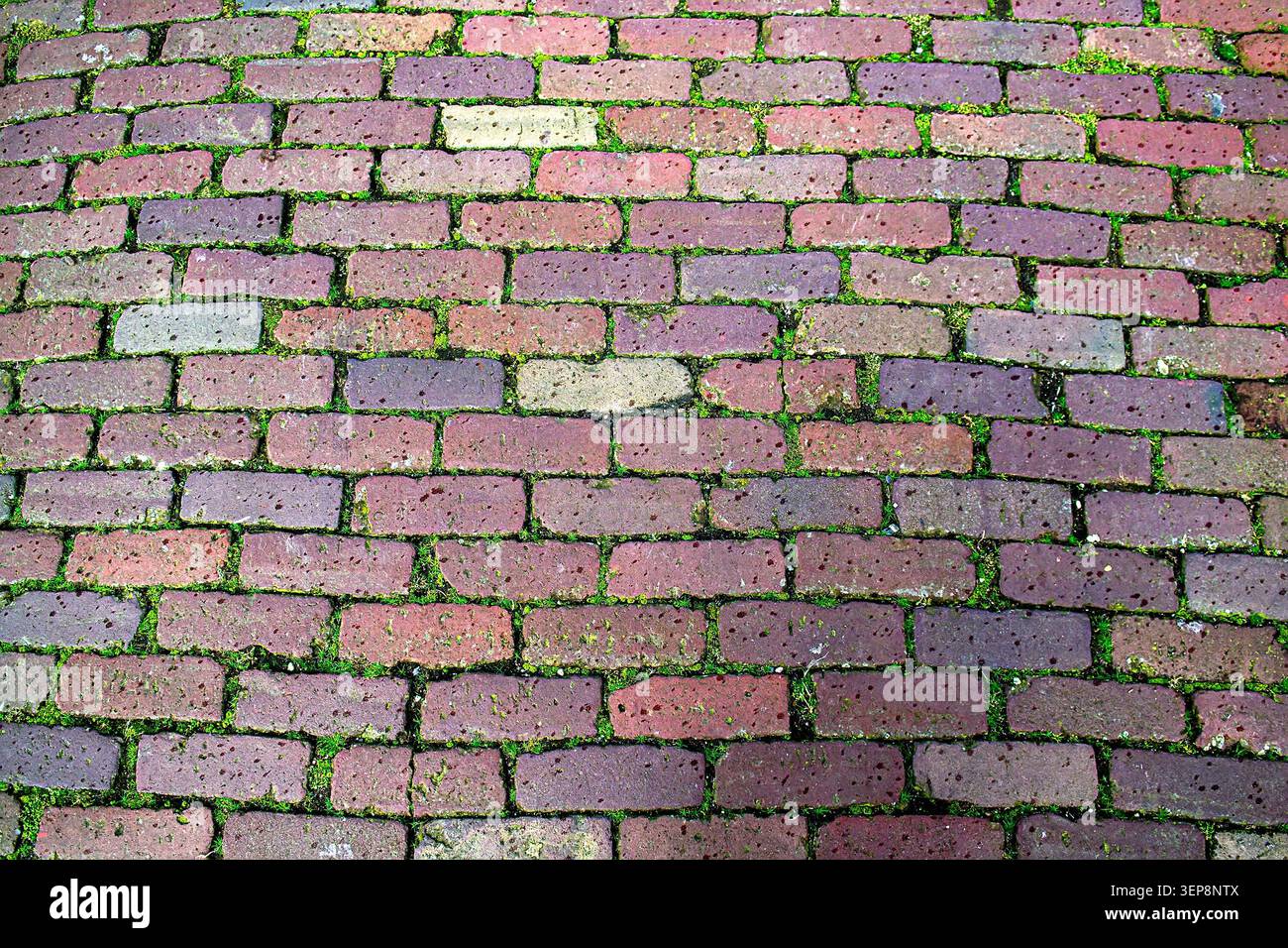 Mossy Vertical Stone Block Pavement Texture Stock Photo