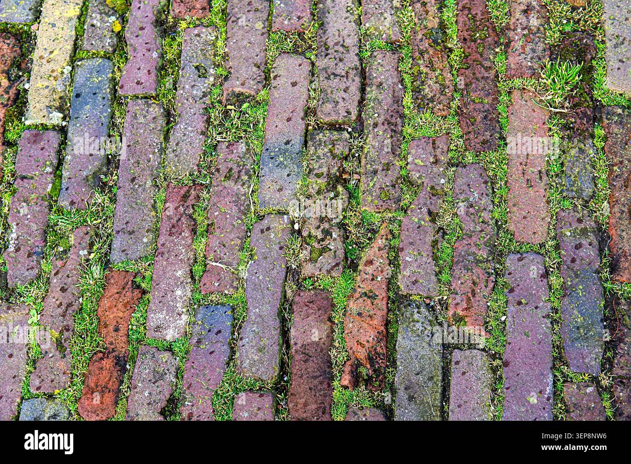 Mossy Vertical Stone Block Pavement Texture Stock Photo