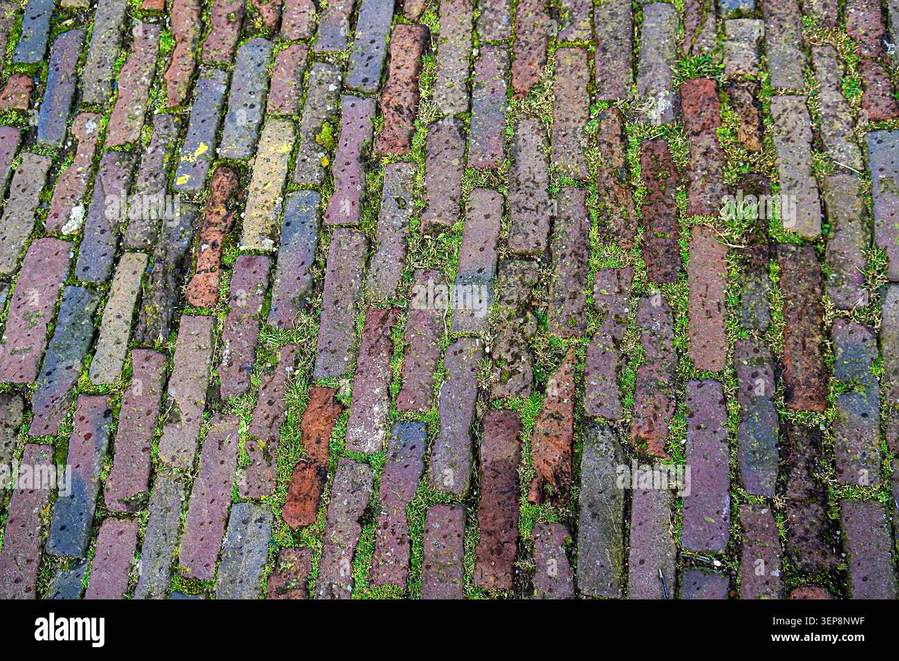 Mossy Vertical Stone Block Pavement Texture Stock Photo