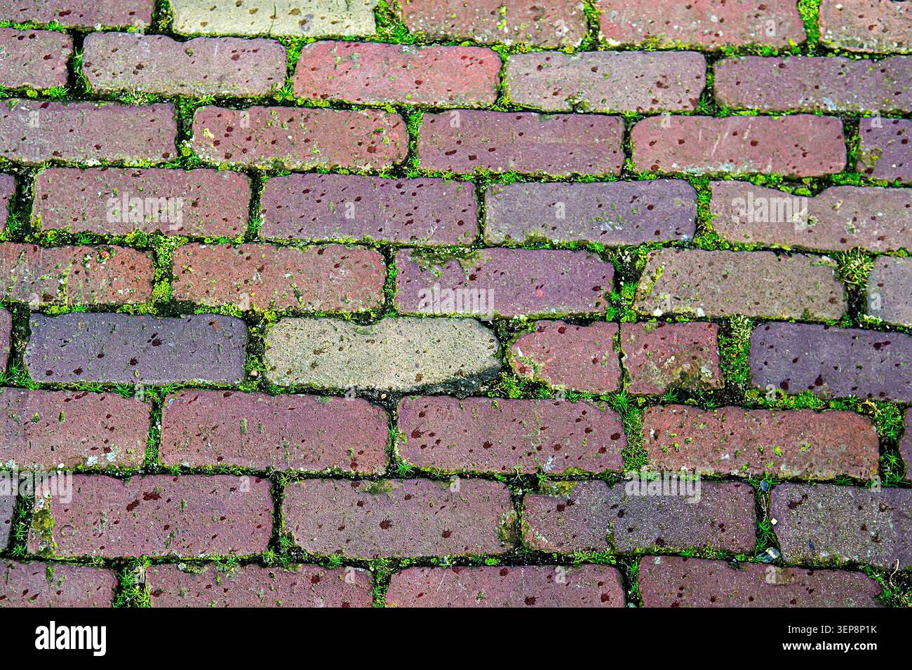 Mossy Vertical Stone Block Pavement Texture Stock Photo