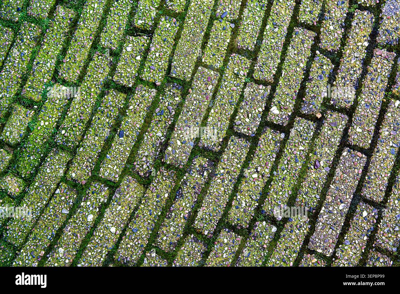 Mossy Vertical Stone Block Pavement Texture Stock Photo