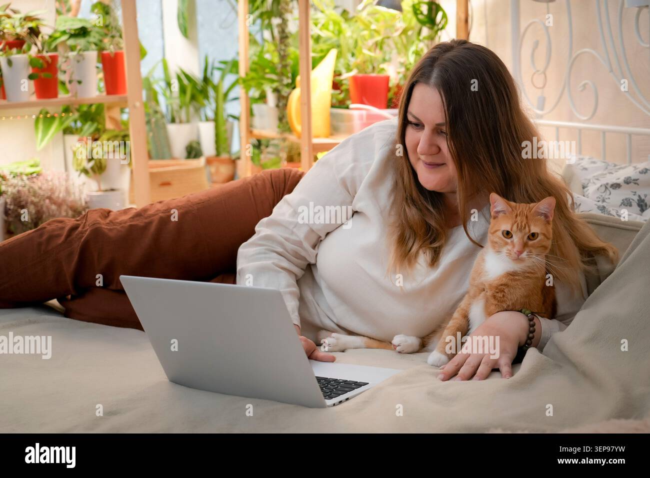 Woman works remotely from her cozy bed with a laptop, while an affectionate red cat sits comfortably on her lap. The warm atmosphere includes many pla Stock Photo