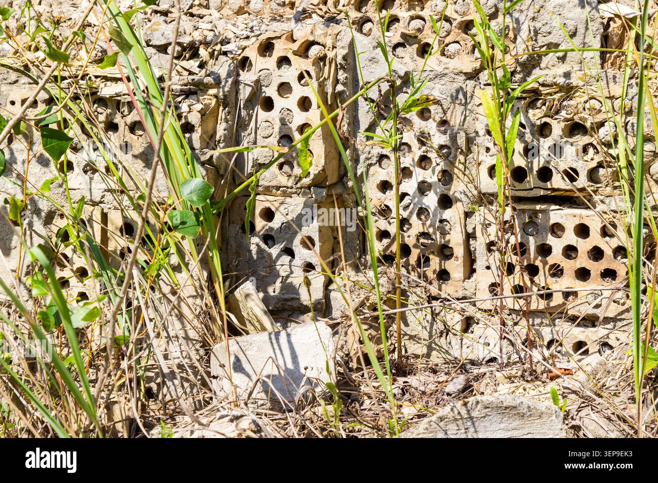 Construction waste from old bricks, overgrown with grass. Stock Photo