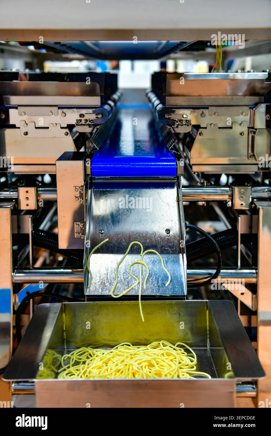 Automatic noodle making machine processing fresh yellow pasta spaghetti lines on conveyor belt Stock Photo