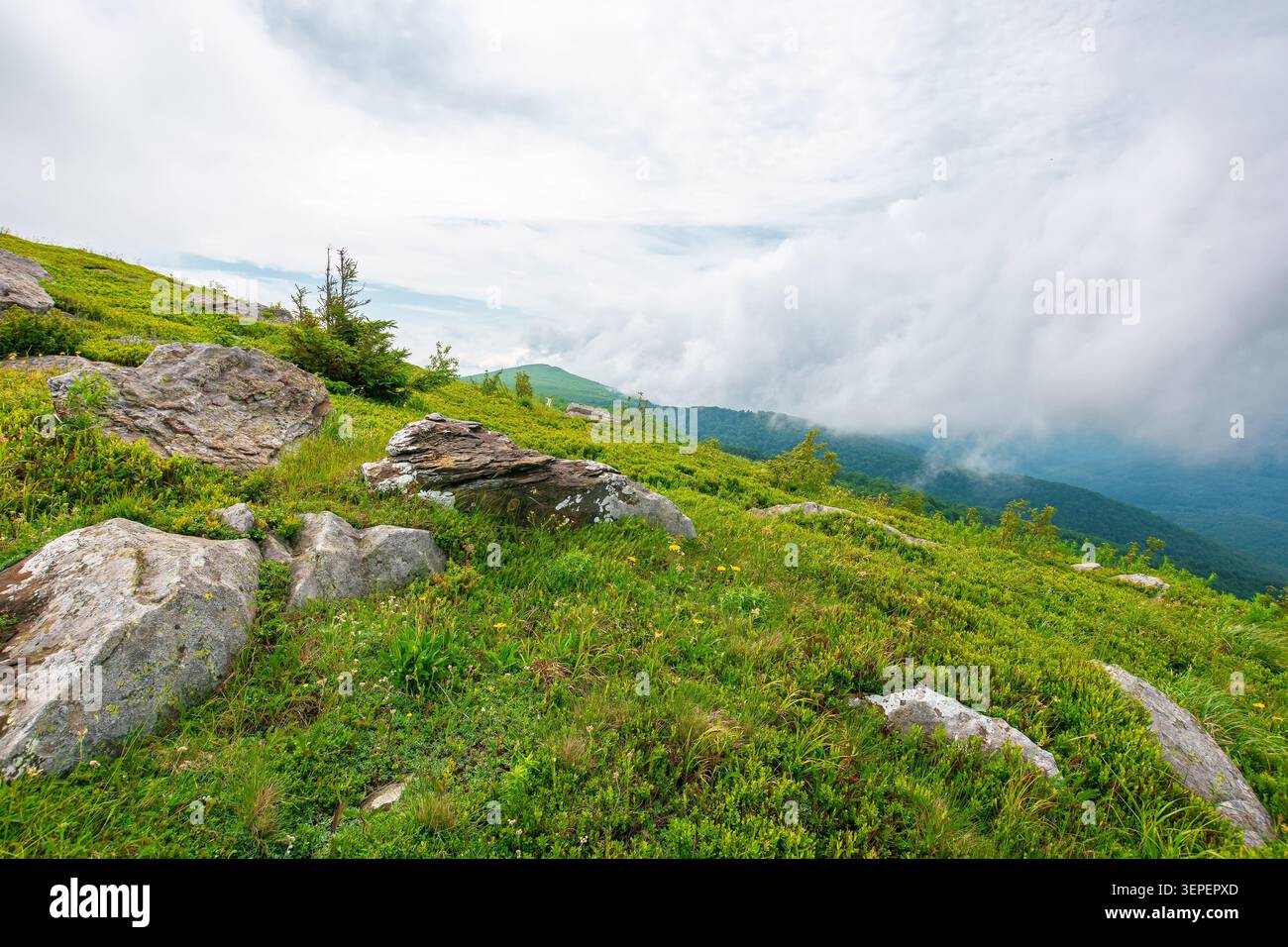 green landscape of mountain in summer. view of rock among grass on the hillside. travel background under a cloudy sky. carpathian mountain scenery wit Stock Photo