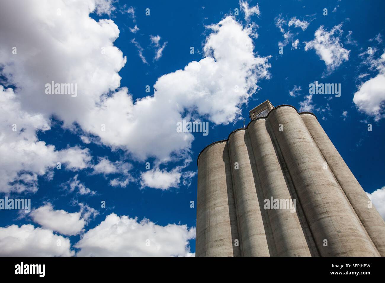 Industrial grain elevator against a bright blue sky Stock Photo