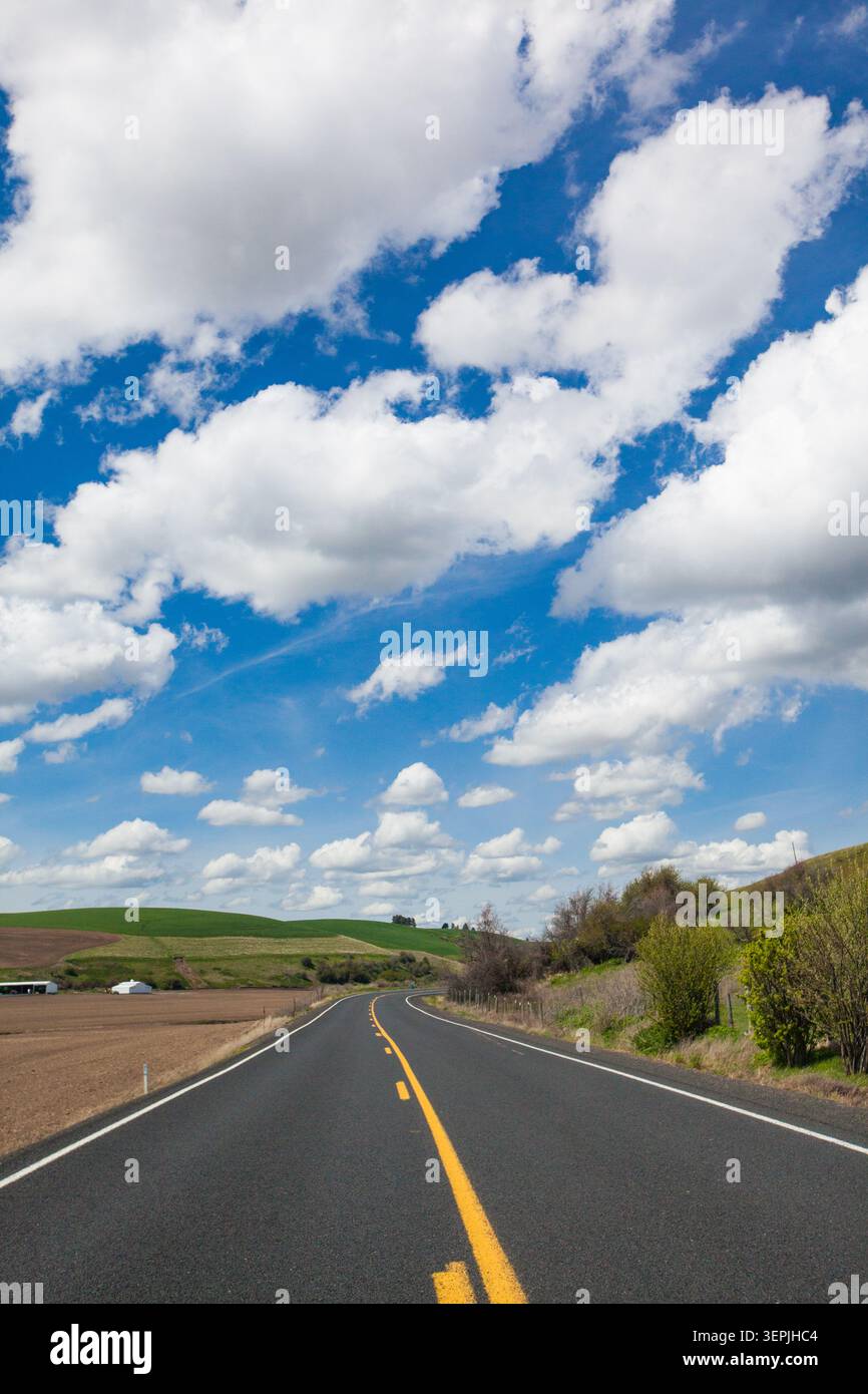 Empty winding road through rolling country hills Stock Photo