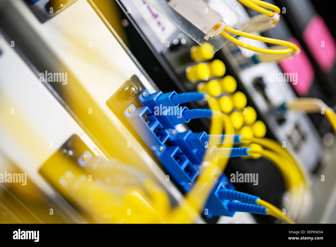 Fiber patch panel with connected optical cables in a server rack data center Stock Photo