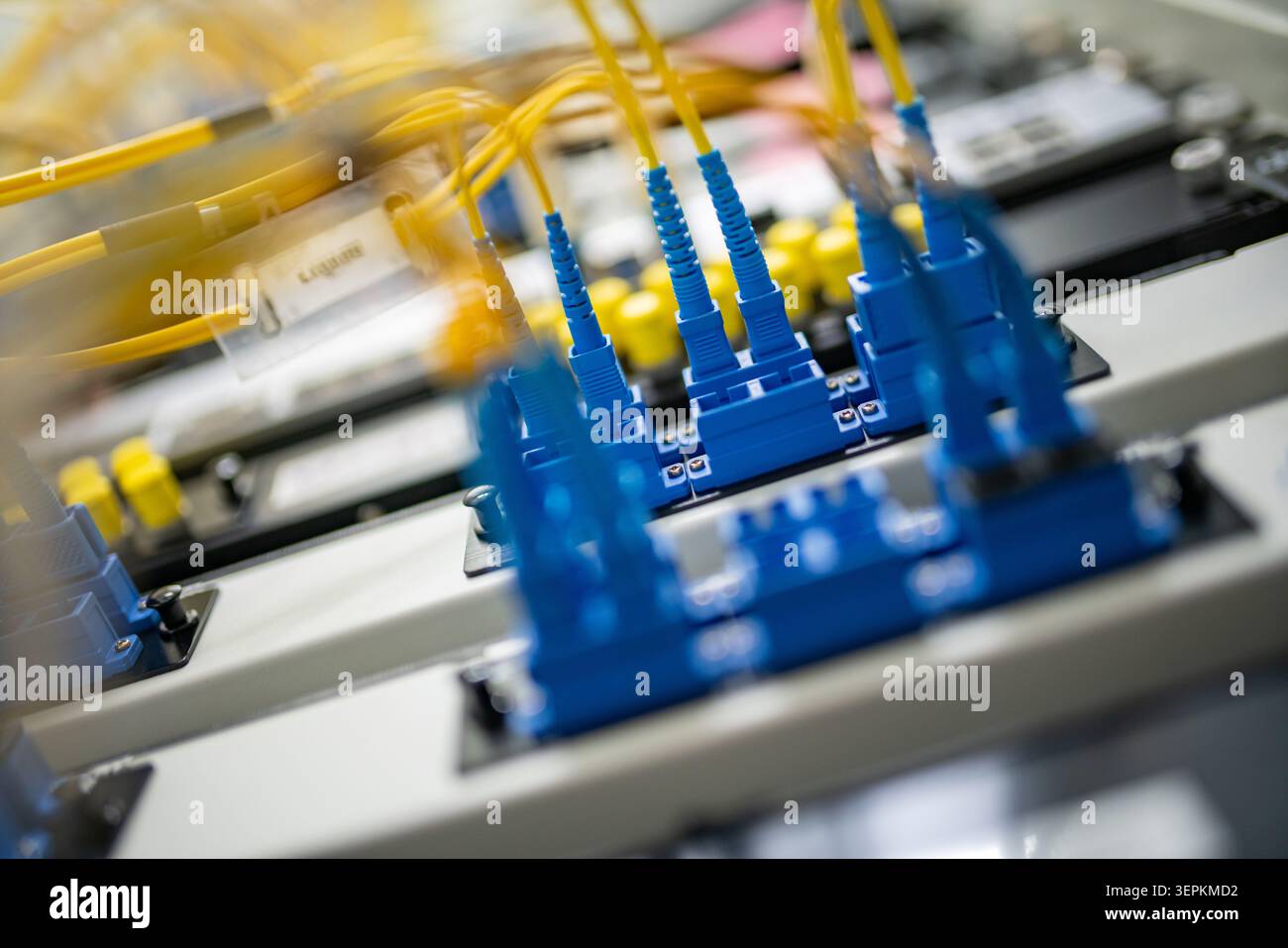 Fiber patch panel with connected optical cables in a server rack data center Stock Photo