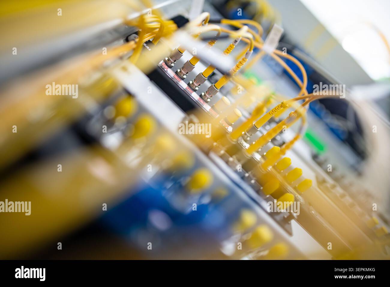 Fiber patch panel with connected optical cables in a server rack data center Stock Photo