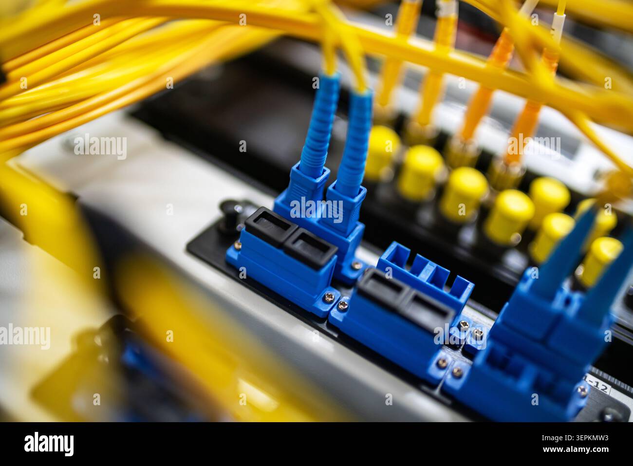 Fiber patch panel with connected optical cables in a server rack data center Stock Photo