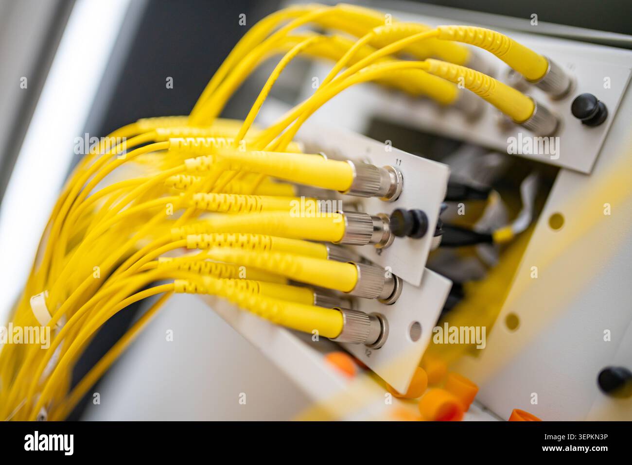 Fiber patch panel with connected optical cables in a server rack data center Stock Photo