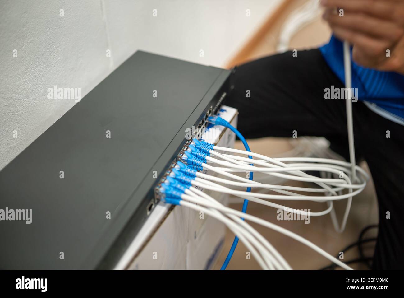 A network technician installing and managing ethernet cables connected to network equipment, demonstrating technical work in establishing computer con Stock Photo
