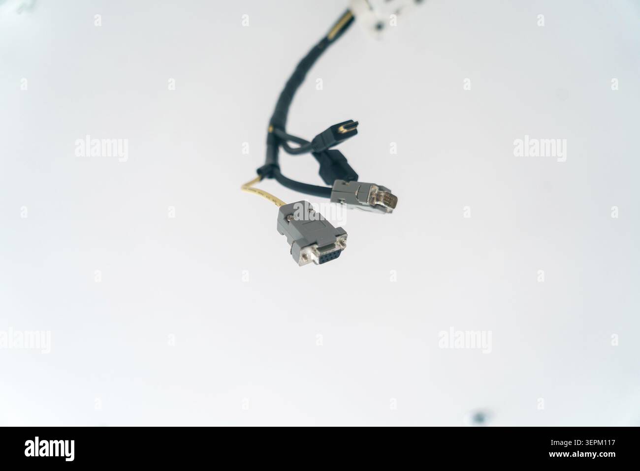 This image features two Ethernet cables with connectors for digital communication and data transfer, highlighting essential components of computer net Stock Photo