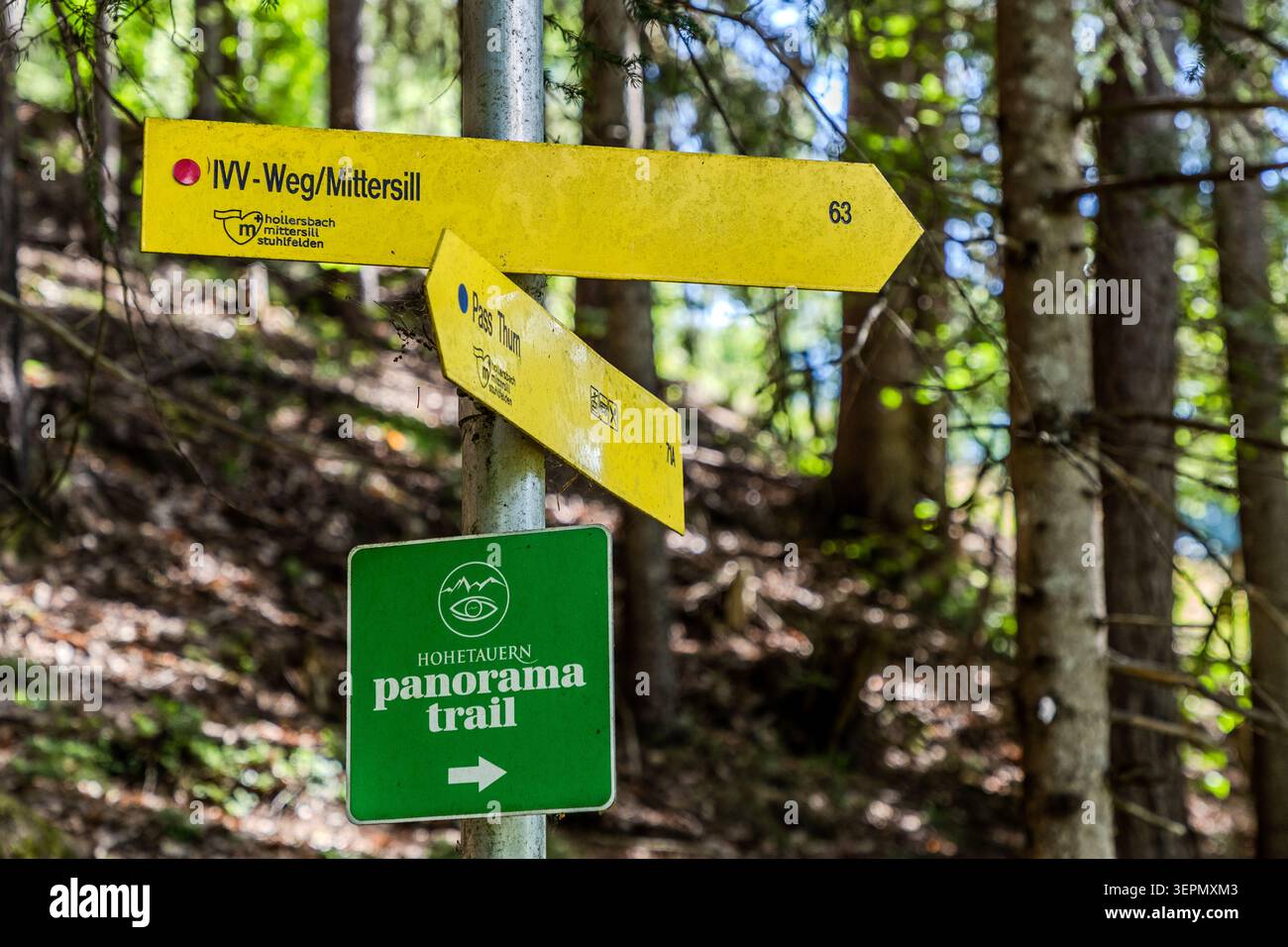 Signposts along the Wachtlehenweg show routes such as the IVV Trail towards Hollersbach, Mittersill and Stuhlfelden, as well as the crossing to Pass Thurn. A green sign also points the way to the Hohe Tauern Panorama Trail. Kürsingerdamm, Fahnen Gärtner, Klausen, Thalbach, Mittersill, Bezirk Zell am See, Salzburg, 5730, Austria Stock Photo