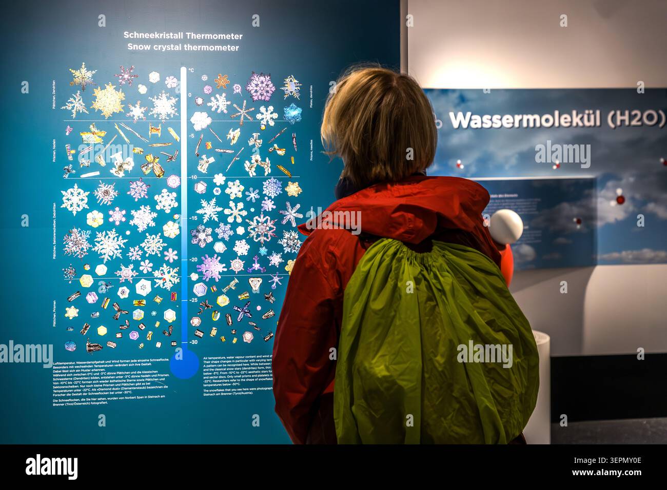 A visitor at the WasserWelten Museum in Krimml is looking at the ‘Snow Crystal Thermometer’ display, which features photographs of snow crystals from different temperature ranges. Gerlos Straße, Oberkrimml, Krimml, Bezirk Zell am See, Salzburg, 5743, Austria Stock Photo