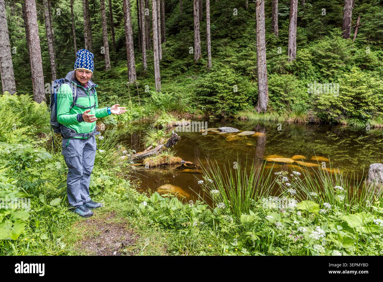 A park ranger points to a small, dark-coloured forest pool by the side of the path. Such small bodies of standing water provide a habitat for amphibians and insects in the otherwise dense coniferous forest. Sulzau, Rosental, Neukirchen am Großvenediger, Bezirk Zell am See, Salzburg, 5741, Austria Stock Photo