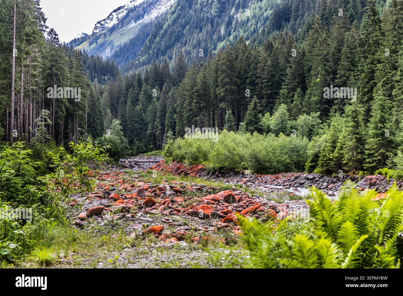 Reddish-coloured boulders lie in the otherwise grey gravel bed of an Alpine valley in the Hohe Tauern National Park. The colour is caused by lichens on the surface of the rocks. Sulzau, Rosental, Neukirchen am Großvenediger, Bezirk Zell am See, Salzburg, 5741, Austria Stock Photo