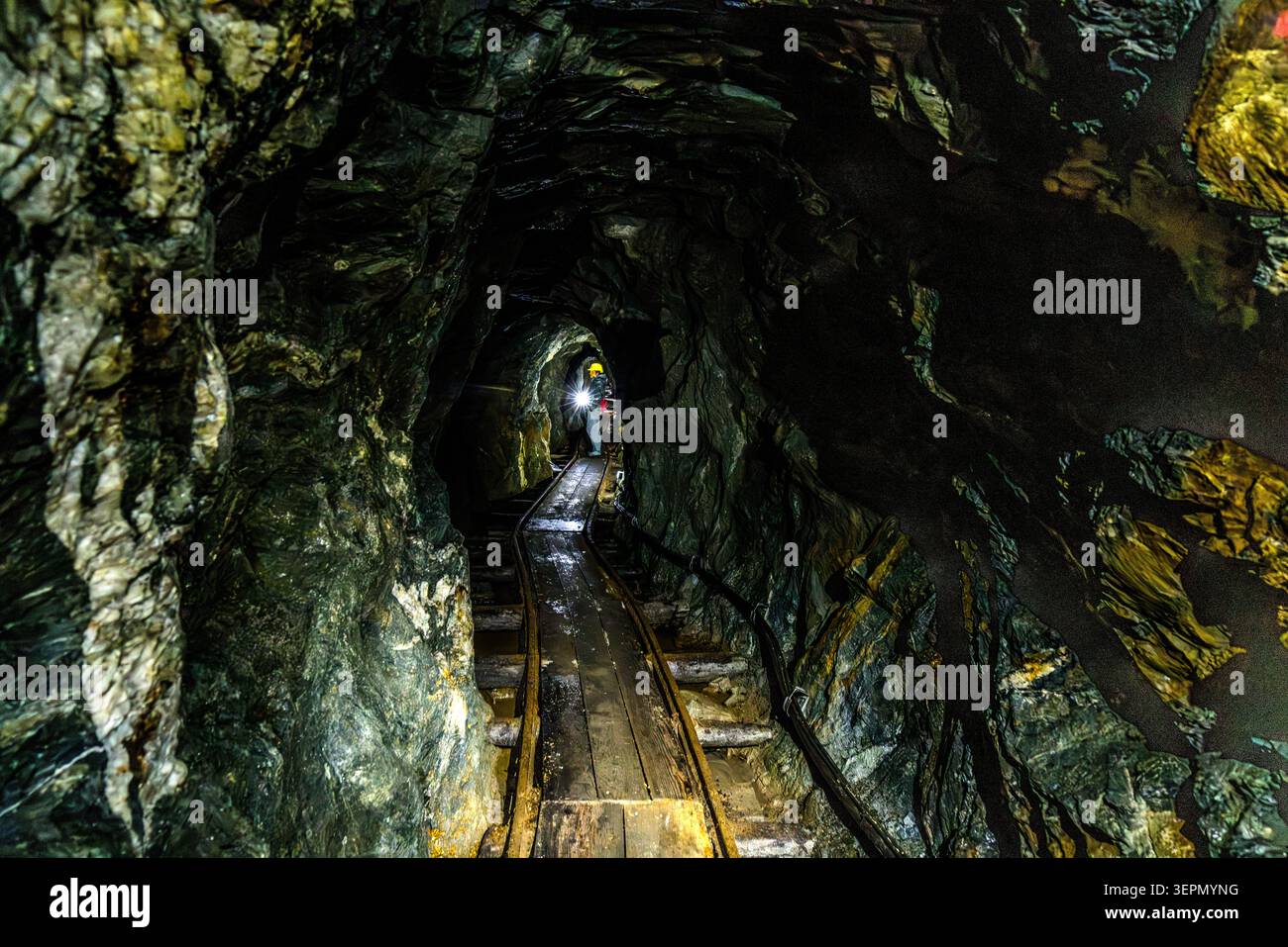A participant on the guided tour walks through a narrow tunnel in the Hochfeld exhibition mine, wearing a helmet lamp and walking along wooden planks laid between the tracks of the historic mine railway. Moisture glistens on the rock faces of the former copper mine in the Untersulzbachtal valley. Rosental, Neukirchen am Großvenediger, Bezirk Zell am See, Salzburg, 5741, Austria Stock Photo