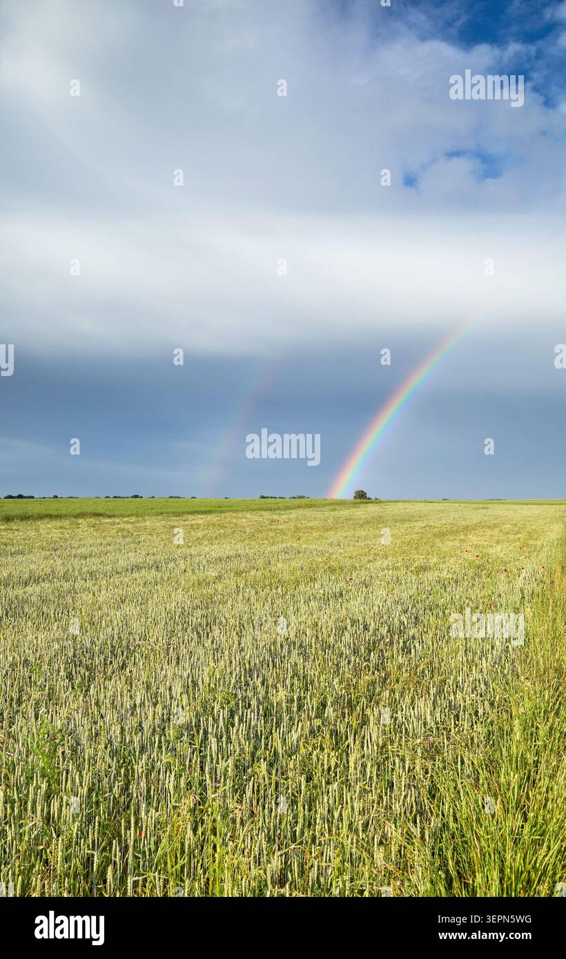 Fields after a storm with a rainbow in the sky. Stock Photo