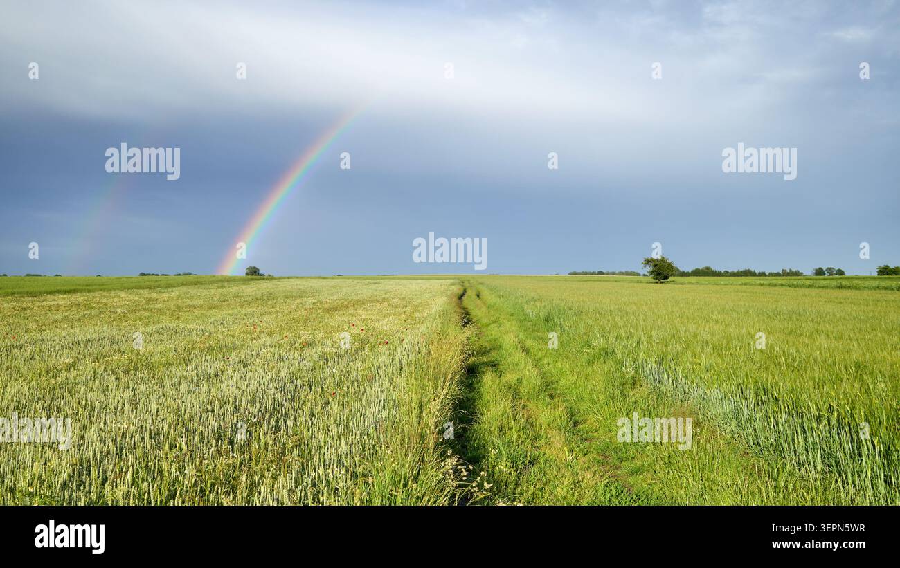 Fields after a storm with a rainbow in the sky. Stock Photo