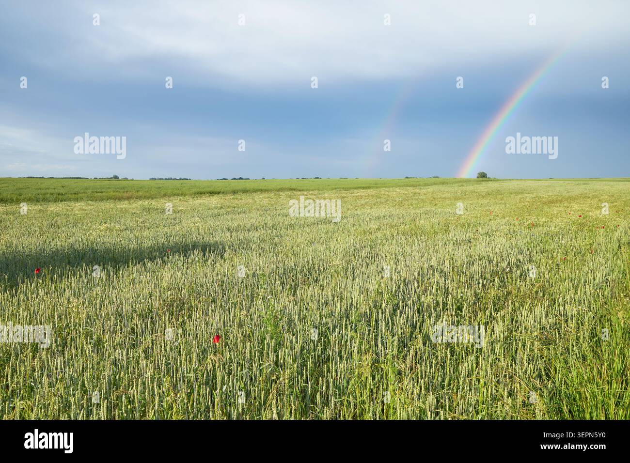 Fields after a storm with a rainbow in the sky. Stock Photo