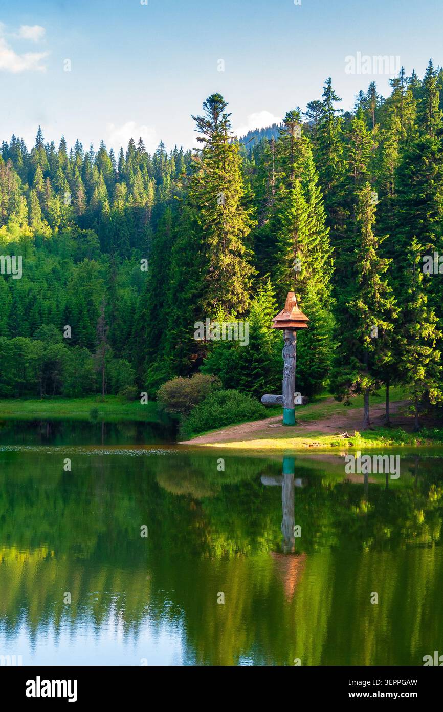 landscape with mountain lake of synevyr national park. green carpathian nature scenery in summer. coniferous forest reflection on the water. popular t Stock Photo